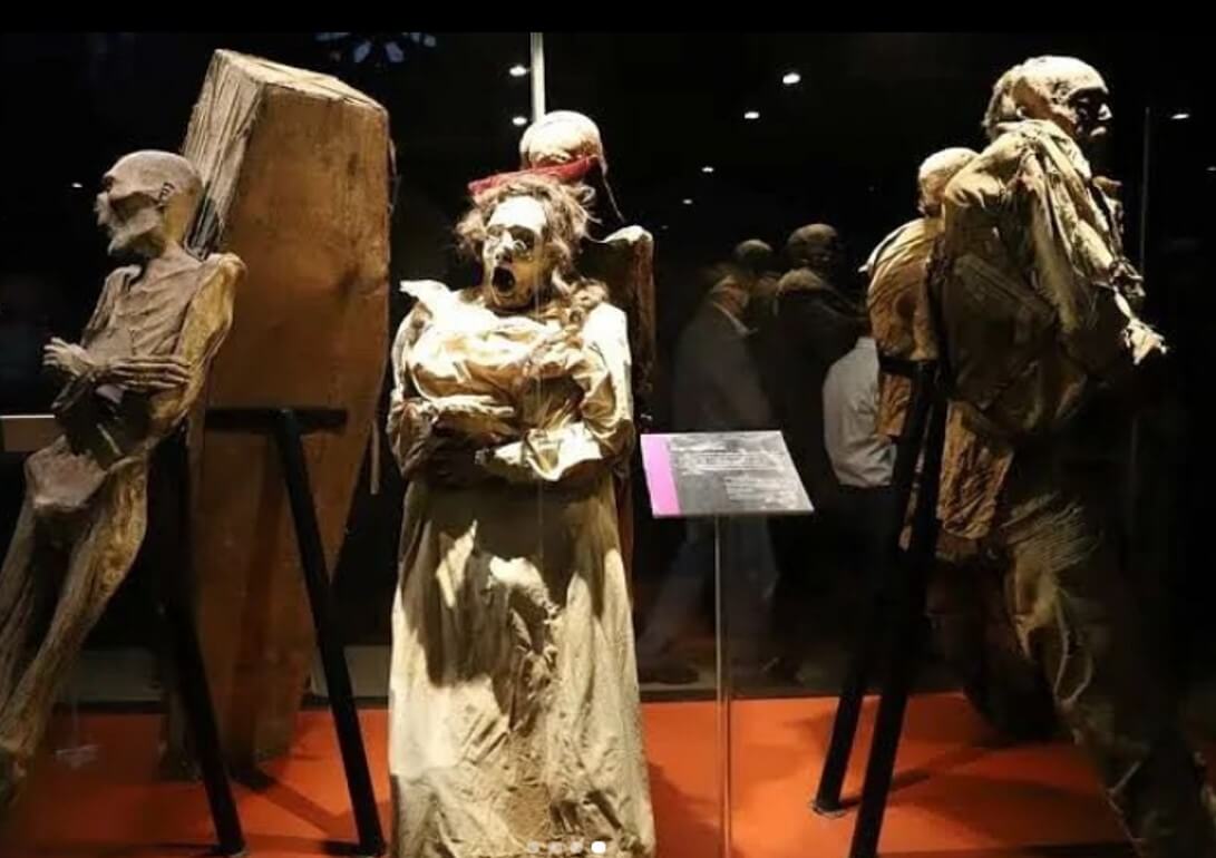 Momias de Guanajuato exhibidas en museo